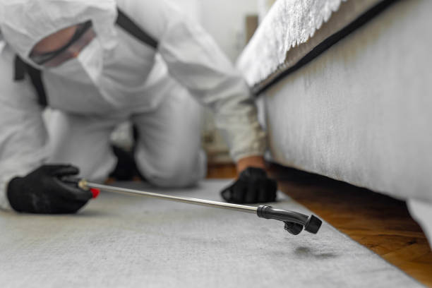 Professional Ant Control technician working in Hamburg, AR