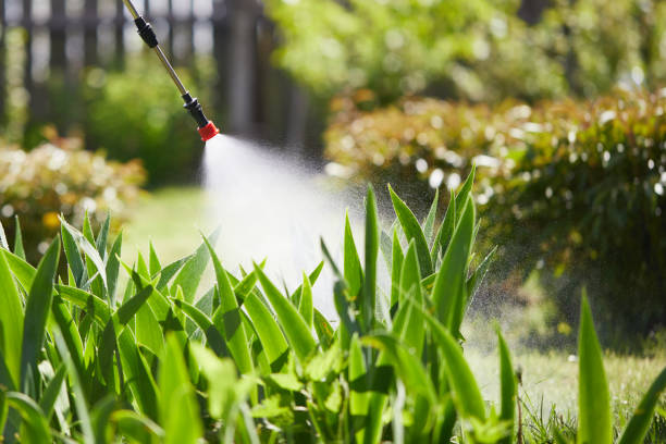 24/7 Emergency Wasp Removal experts in Hamburg, AR