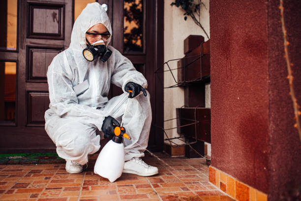 Reliable Wasp Removal contractor in Hamburg, AR by Show Me Pest Control